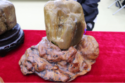 石韻煤魂，魅力海倫——首屆奇石文化旅游節盛大開幕，焦炭產業與文化盛宴交相輝映
